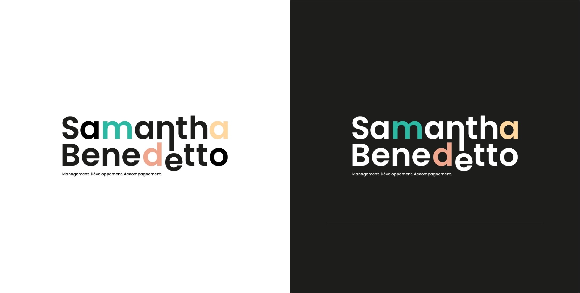 Charte graphique en couleur de Samantha Benedetto